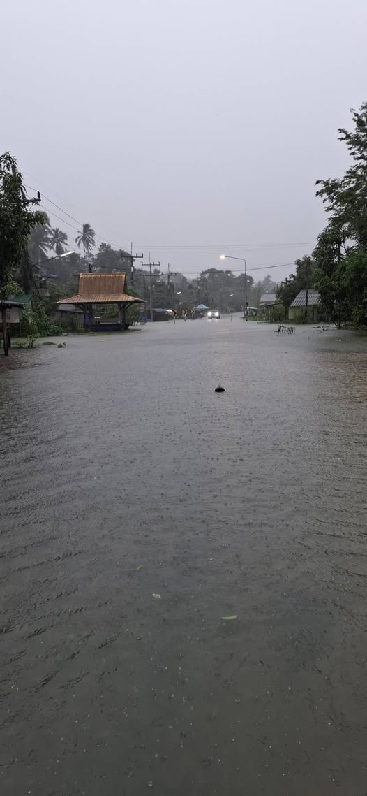 เวลา 09.30 น. วันที่ 24 พฤศจิกายน 2568 ถนนระหว่าง รือเสาะ-ยี่งอ บริเวณชุมชนฮาปา มะรือโบตก รถยนต์และจักรยานยนต์ ไม่สามารถขับผ่านได้แล้วนะครับ